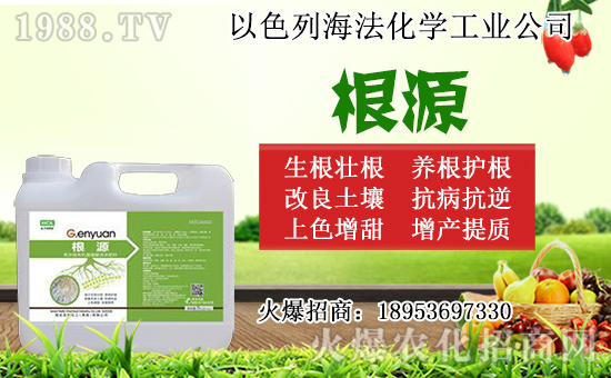 �o������ôǤ�����o����Ǥ��r�g��Ǥ�己ֳ������