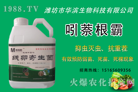 �o(w��)�����NֲʲôƷ�N�^�����o(w��)����Ƥ���ԳԆ᣿�Nֲǰ��������