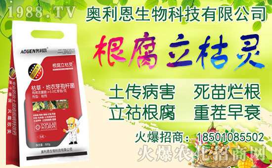 ���[���ʩ�������[�Nֲ���������N�r�g��