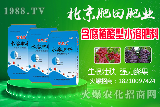 �J�̮a(ch��n)�����ģ��J��ʲô�r(sh��)��������������x�J����