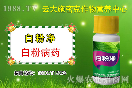 ʲô��ֲ��Դ�r(n��ng)ˎ��ֲ��Դ�r(n��ng)ˎ�c���W(xu��)�r(n��ng)ˎ�^(q��)�e������