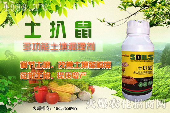 ������ʲô�r(sh��)��Nֲ����������ô�x���Nֲ�����ô�㣿