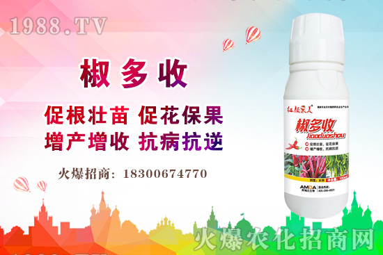 С���r������Xһ����2020�����С���r��߀���ϝq����