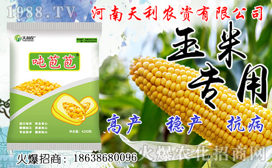 種人參果到底掙不掙錢？種植前景如何？人參果種子怎么種？