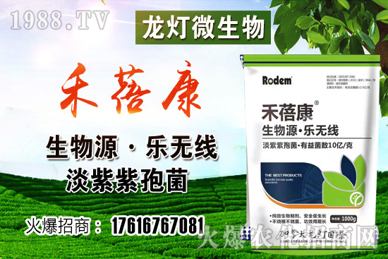 ���t���ڷ۷����������t��¶��ʹ���Nֲ�кβ�ͬ��