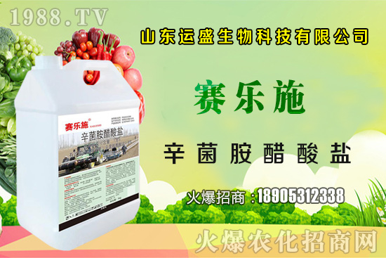 �����Ә���ڷ۷����������Ә���ζ�������