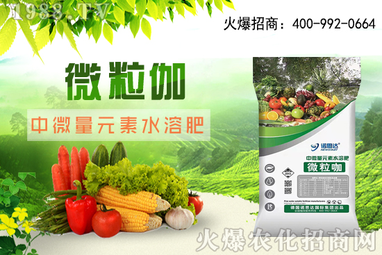 ����ԓ��ô��������������r(sh��)�g������ע��Ҫ�c(di��n)��