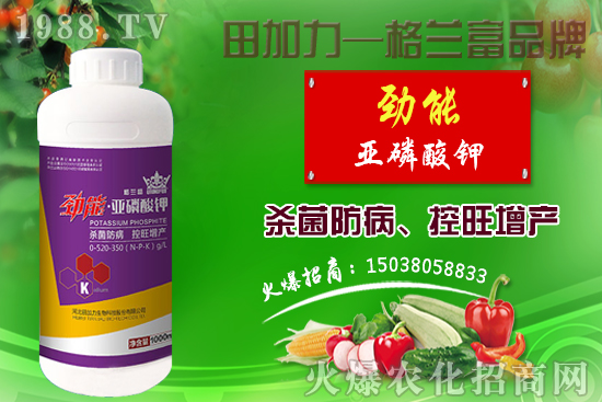 �޻������������ʩ�����޻�������Լ�ʩ��ԭ�t��