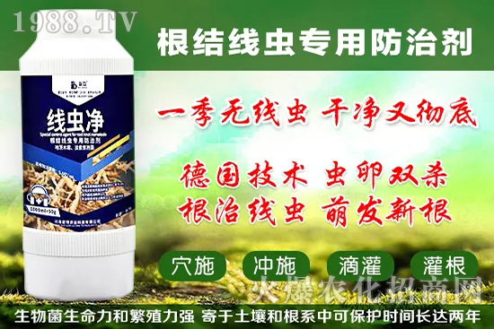 火龍果套袋起什么作用，火龍果套袋果袋如何選擇？