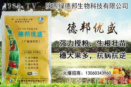 �����r������Xһ������Nֲ�ĭh(hu��n)�������x������