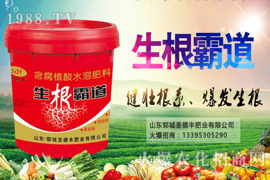 ������Nֲ����(ji��)��ʲô�r(sh��)�򣿻�����Nֲ��������Щ��