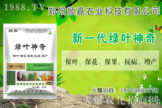 С���r���B�B�ϝq���F(xi��n)��һ������X��