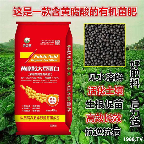 ��s�S�����ЙC��-�S����󶹵���-�����r�I(y��)