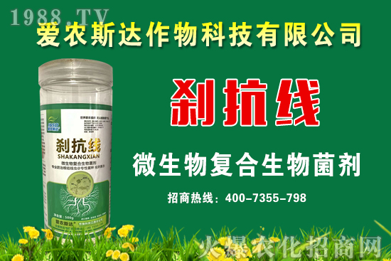 ���ռZ�r��2020��9��11��С���r�������A(y��)�y��