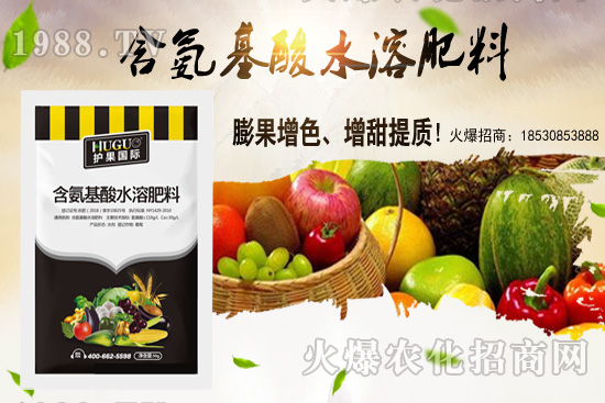 �|���m����ʲô����(ji��)�������|������M�зNֲ��