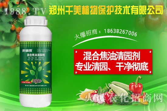 ���X�ݷN����ô�N�����X�ݷNֲ������B��