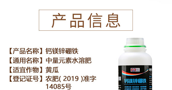 �}�V�\���F-Ӣ����_03