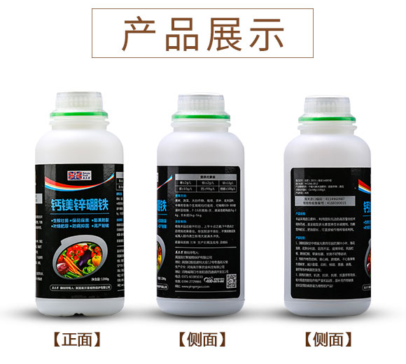 �}�V�\���F-Ӣ����_12