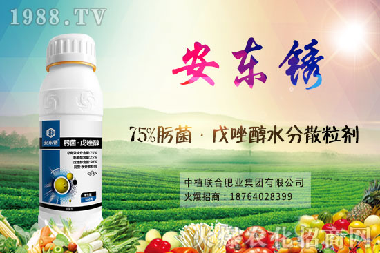 С���r����Ќ��^�m(x��)�q��9��16��С���r���߄���