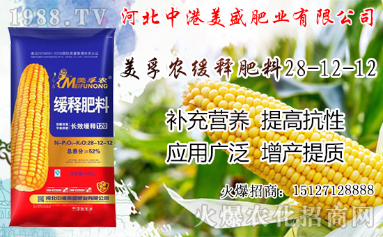 �O���������������ô�������O�������ڼ���ժ�������