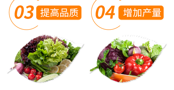 ���\�͵ι���@18-46-0+TE-Ħ�G�S-������_07