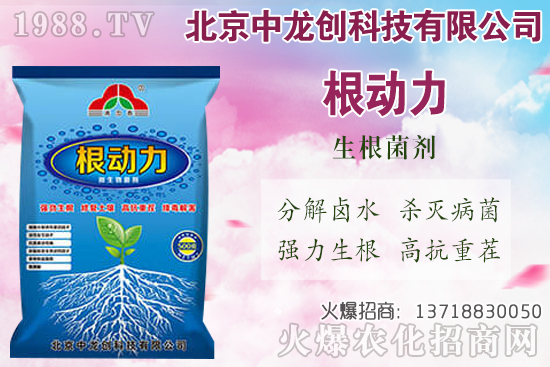 ���}���������������Щ�����}��ʩ�ʼ��g(sh��)Ҫ�c(di��n)��