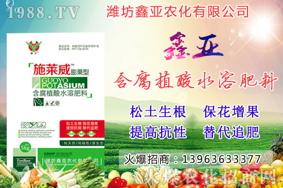 �Zʳ�q�r��20209��17��С���r��������Σ�