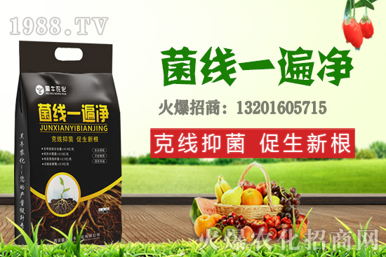 9��19��С���r����£��q�����F(xi��n)��