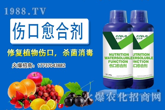 小麥底肥用二銨還是用復(fù)合肥?小麥施底肥究竟該怎么施?