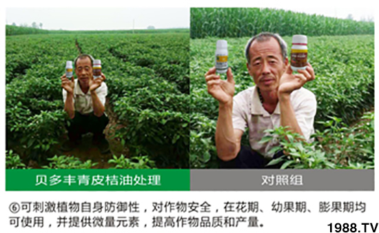 青皮桔柚助劑-貝多豐