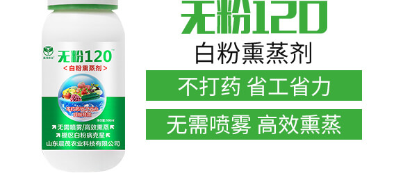 �׷�Ѭ��-�o��120-��ï�r�I(y��)_04