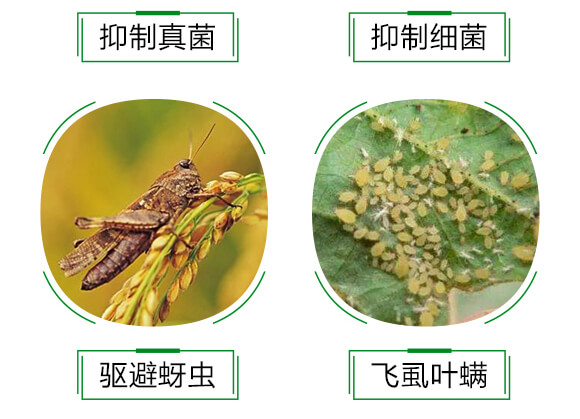 �M��������-�����`-��ï�r(n��ng)�I(y��)_06