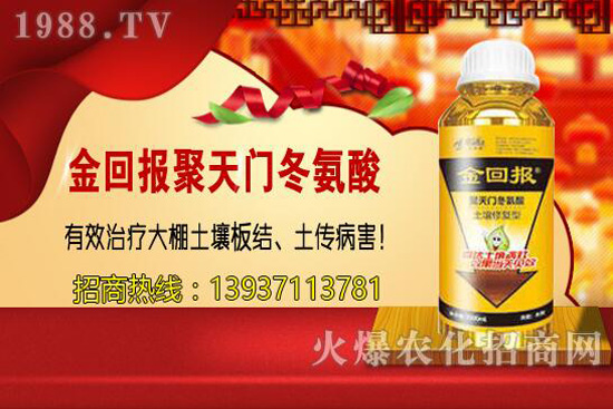 ���w�������cС�w����ɶ��ͬ������ԓ�x��һ�N��