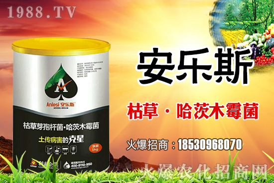 С���N����ُ�I߀��������С�������N����Ҫע����Щ��(n��i)����