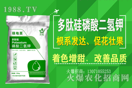 �۲˵ă�(y��u)��Ʒ�N����Щ���۲˷Nֲ���L�h(hu��n)�������Nֲ���g(sh��)��