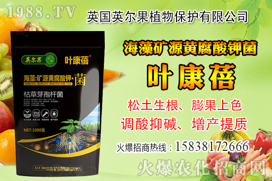 ��ô�Д����׺�ˮ��������������ˮ���й��ж���(j��ng)򞣡