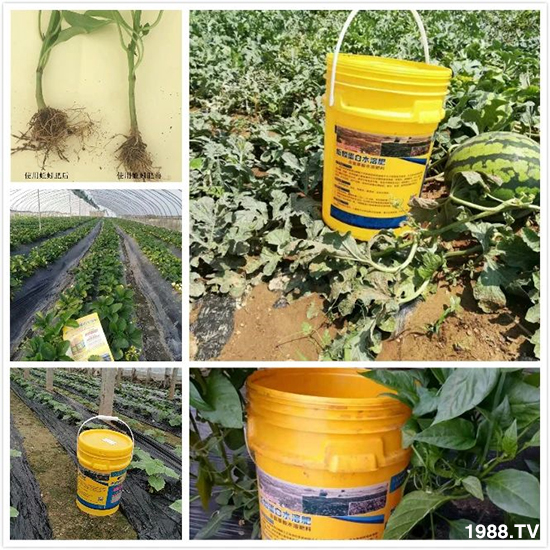 ˮ�ܷ��Ј�(ch��ng)��׃������徫���~(y��)���׌�����������1000���Ñ��������]��