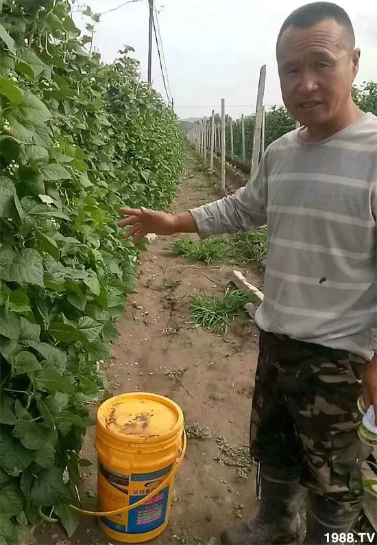 ˮ�ܷ��Ј�(ch��ng)��׃��������徫���~(y��)���׌�����������1000���Ñ��������]��