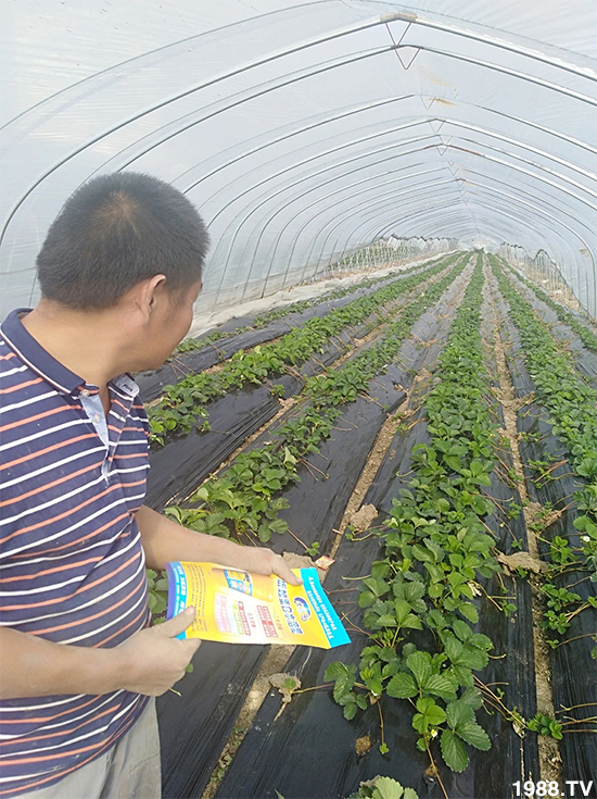 ˮ�ܷ��Ј�(ch��ng)��׃������徫���~(y��)���׌�����������1000���Ñ��������]��