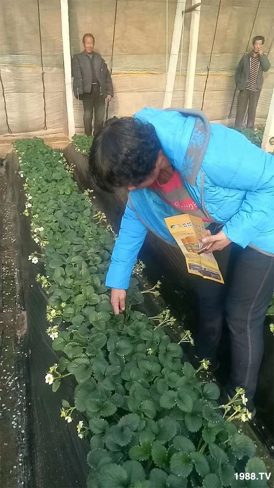 ˮ�ܷ��Ј�(ch��ng)��׃��������徫���~(y��)���׌��������棡1000���Ñ��������]��