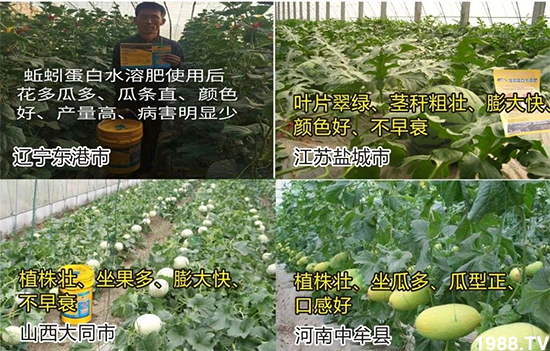 ˮ�ܷ��Ј�(ch��ng)��׃��������徫���~(y��)���׌�����������1000���Ñ��������]��