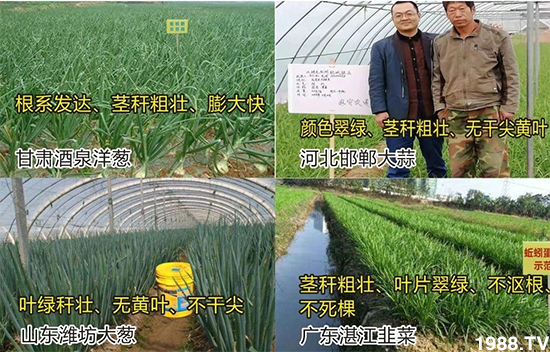 ˮ�ܷ��Ј�(ch��ng)��׃��������徫���~(y��)���׌�����������1000���Ñ��������]��