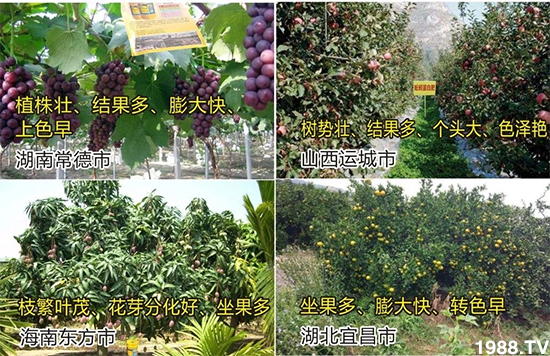 ˮ�ܷ��Ј�(ch��ng)��׃��������徫���~(y��)���׌�����������1000���Ñ��������]��