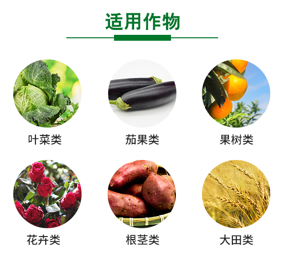 ��������-��ʩؐ��-��ʩ��_06