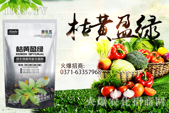 十月即將到來，麥價能漲多少？9月29日小麥價格走勢！