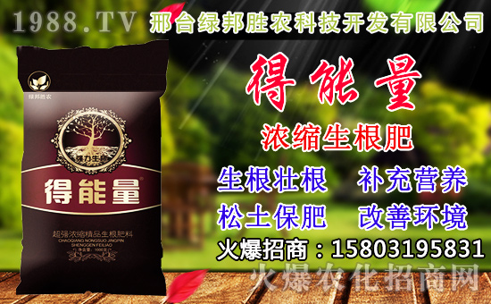 2020��С���N������x���߮a(ch��n)С��Ʒ�N����Щ��