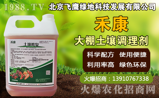 �i�ǹ���ηNֲ���i�ǹ�����������g��