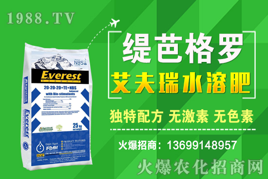 С���r��q����ʮ��С�������A�y��