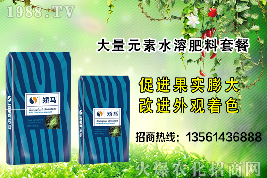 �＾����ʩ�ʵĺ�̎����Щ���＾����ʩ��ָ��(d��o)������