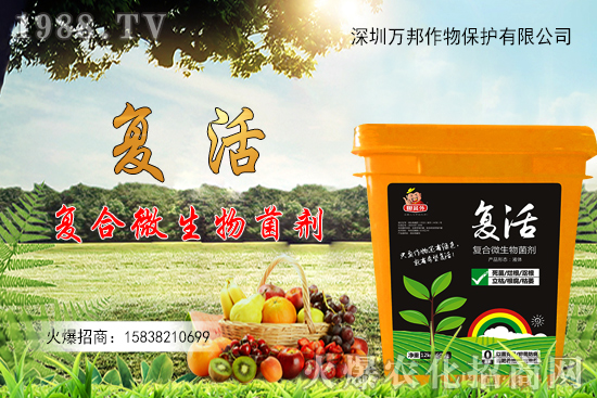 ���������ԷN������M�й�������ʲô����Ҫ�c��